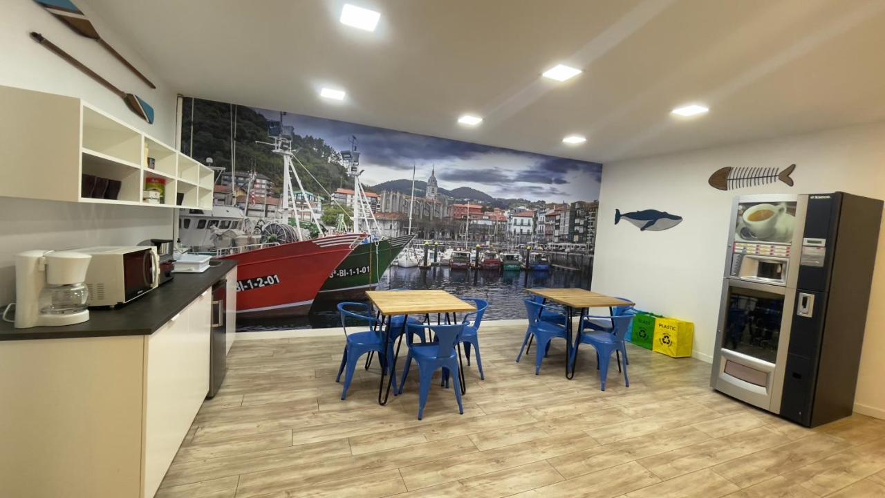 Casual Blue Guest house